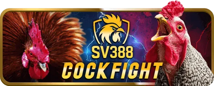566a hợp tác với nhà cung cấp casino mới